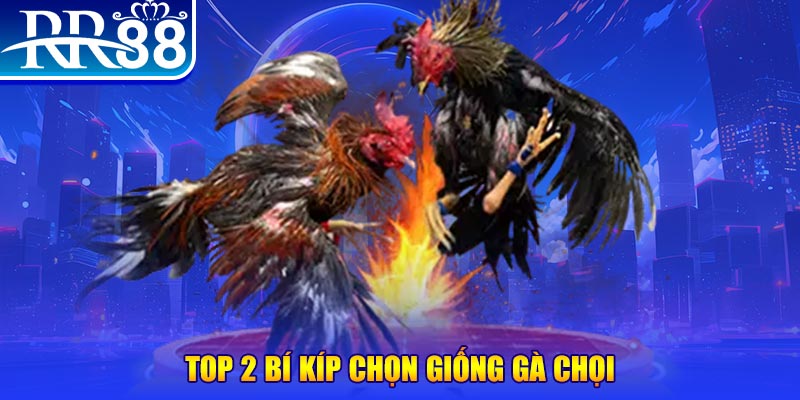 mcw bắn cá h5