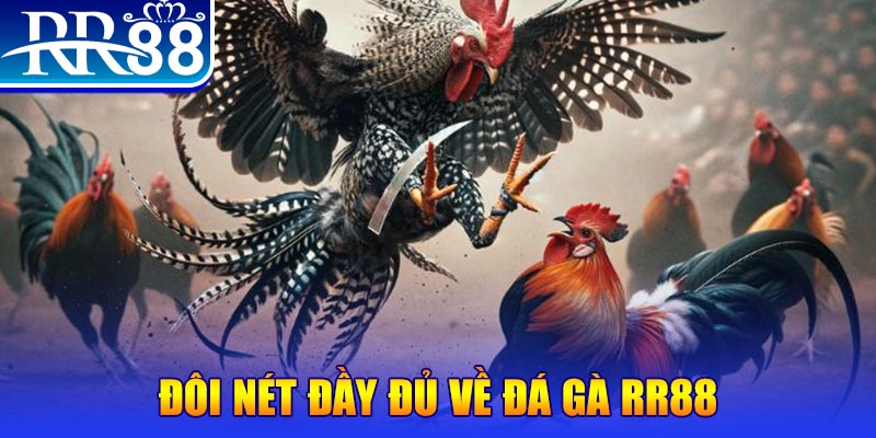 mcw gà chọi hoà phong