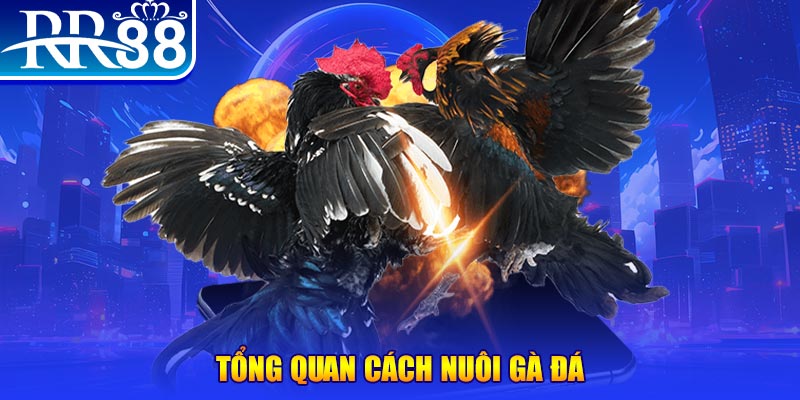 mcw xổ số thứ ba