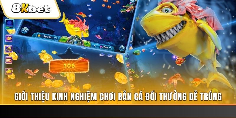 mcw xổ số miền bắc hôm
