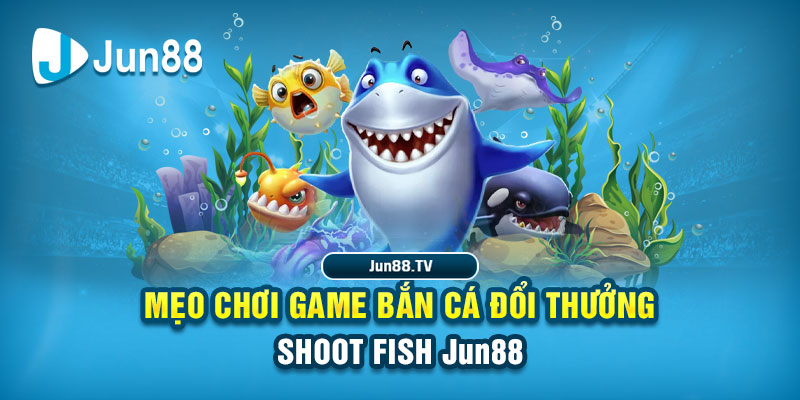 mcw tải game đánh bài online về máy tính
