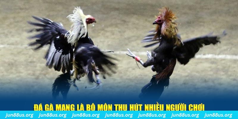mcw xổ số long an