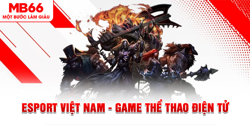mcw PT Điện Tử