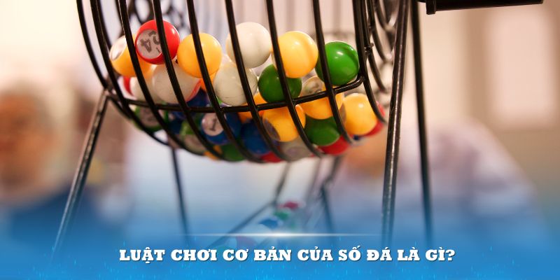 mcw Đĩa màu ace