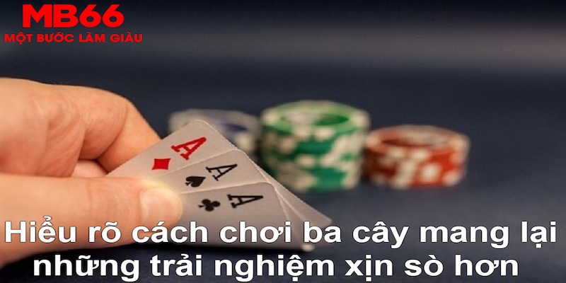 mcw DB Trực Tuyến